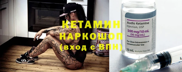 сатива Беломорск