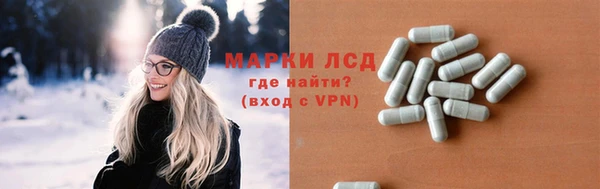 сатива Беломорск