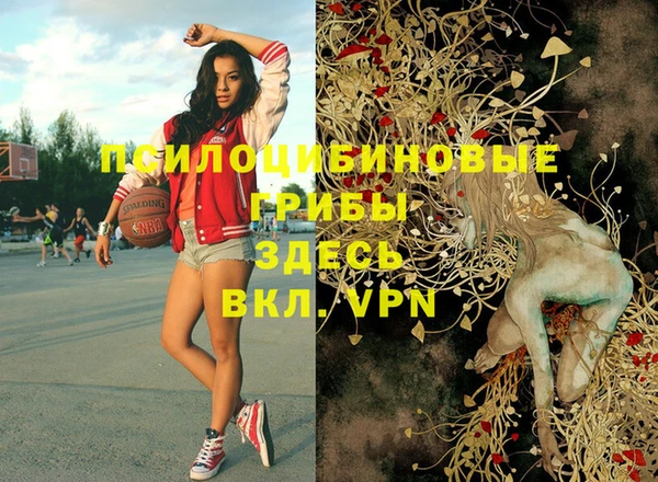 спайс Белокуриха