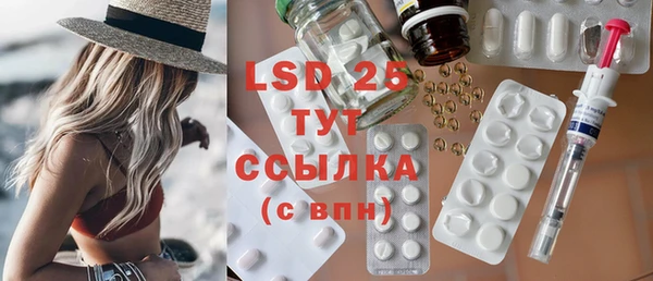 сатива Беломорск