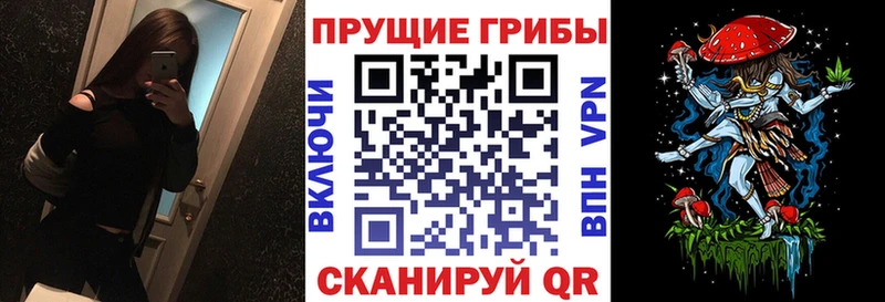 купить наркотики сайты  Краснокамск  Псилоцибиновые грибы прущие грибы 